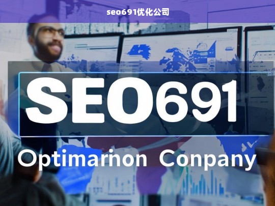 seo691优化公司