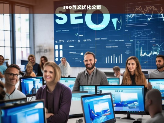 seo含义优化公司