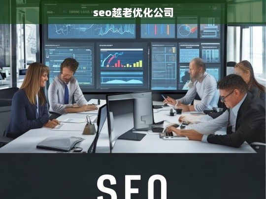 seo越老优化公司