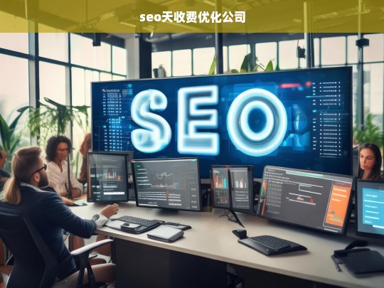 seo天收费优化公司