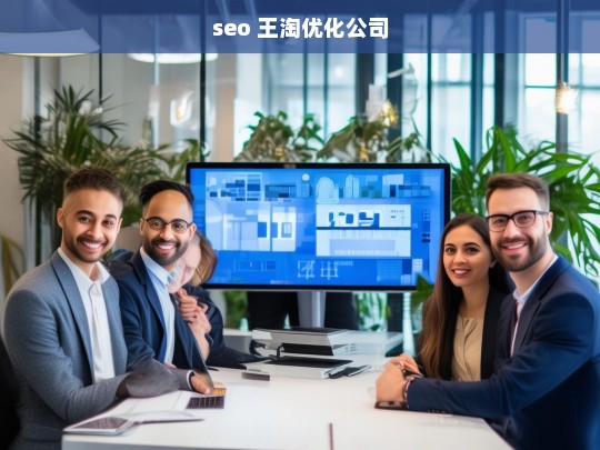 seo 王淘优化公司