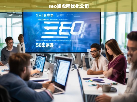 seo知虎网优化公司