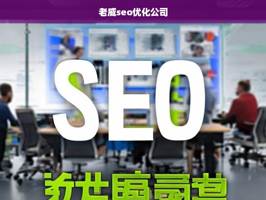 老威seo优化公司