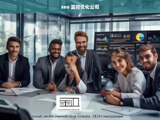 seo 监控优化公司