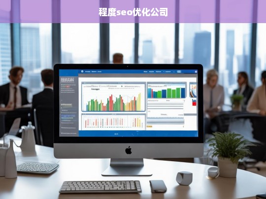 程度seo优化公司
