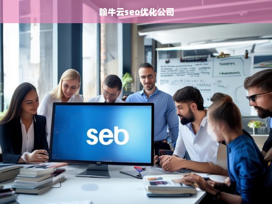 翰牛云seo优化公司