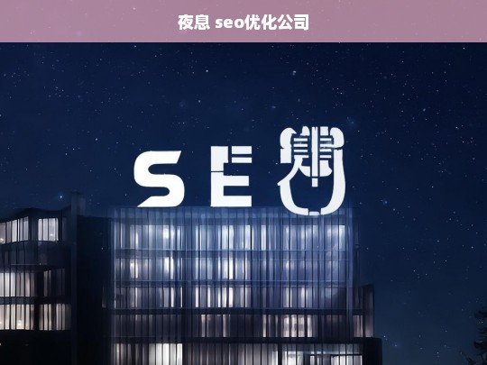 夜息 seo优化公司