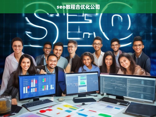 seo教程合优化公司