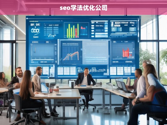 seo学法优化公司