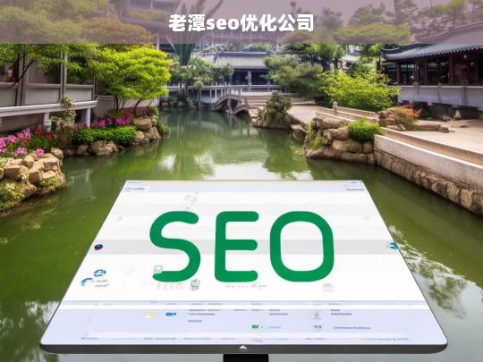 老潭seo优化公司