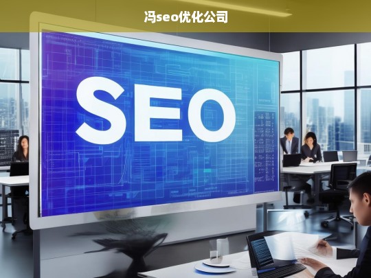 冯seo优化公司