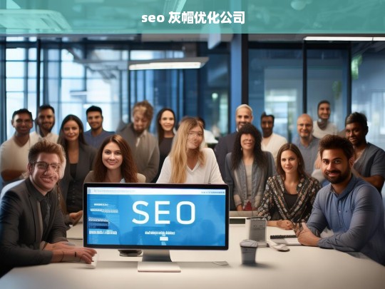 seo 灰帽优化公司