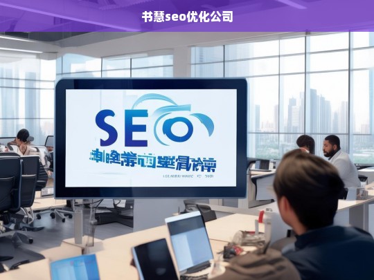 书慧seo优化公司