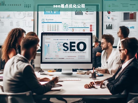 seo难点优化公司