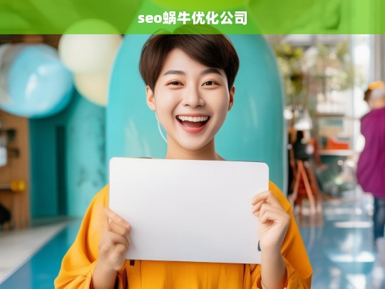 seo蜗牛优化公司