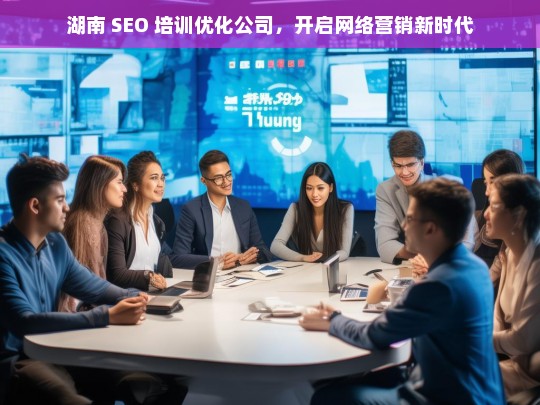 湖南 SEO 培训优化公司，开启网络营销新时代