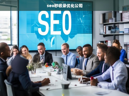 seo秒收录优化公司