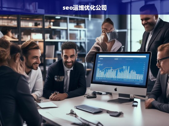 seo运维优化公司