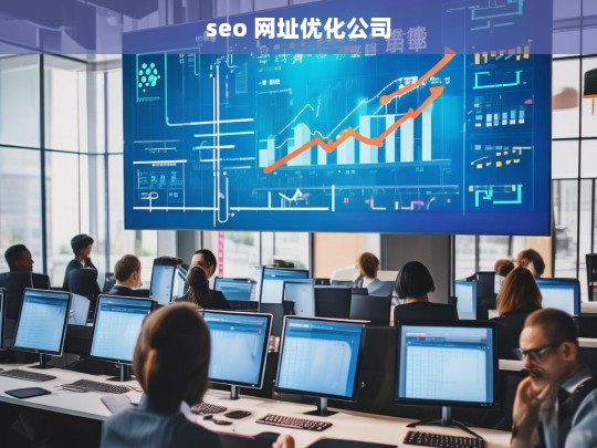 seo 网址优化公司