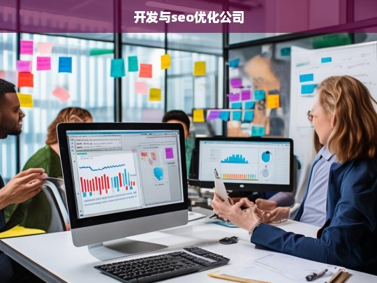 开发与seo优化公司