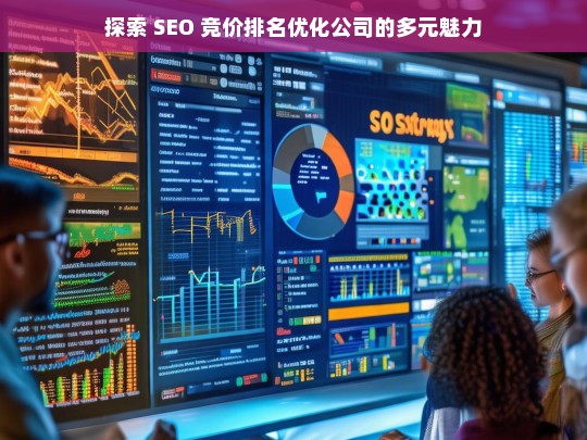 探索 SEO 竞价排名优化公司的多元魅力