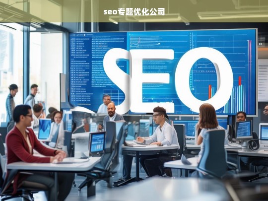 seo专题优化公司