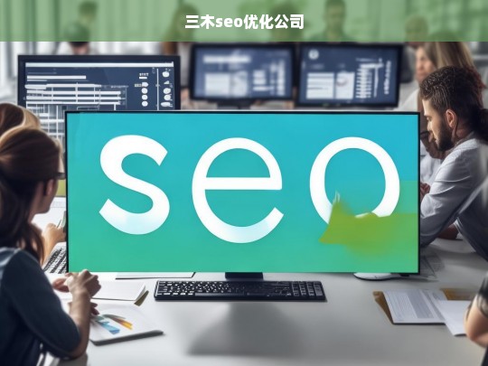 三木seo优化公司