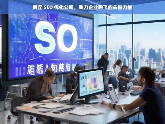 商丘 SEO 优化公司，助力企业腾飞的关键力量