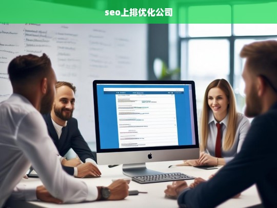 seo上排优化公司