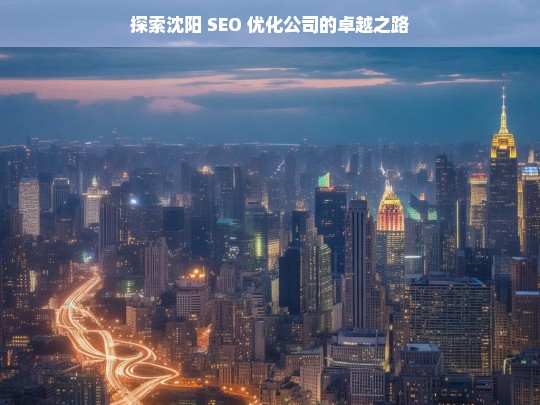 探索沈阳 SEO 优化公司的卓越之路