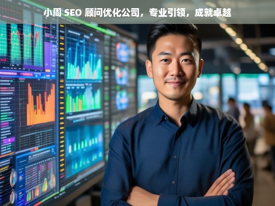 小周 SEO 顾问优化公司，专业引领，成就卓越