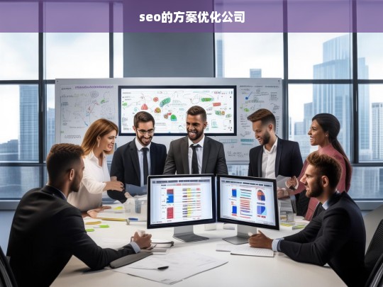 seo的方案优化公司