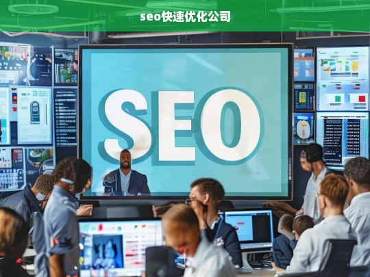 seo快速优化公司