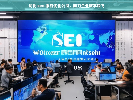 河北 seo 服务优化公司，助力企业数字腾飞