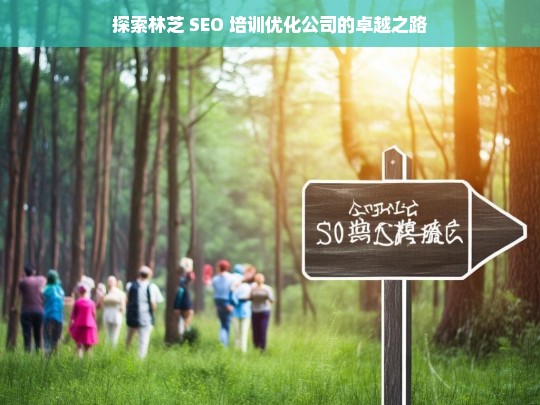 探索林芝 SEO 培训优化公司的卓越之路