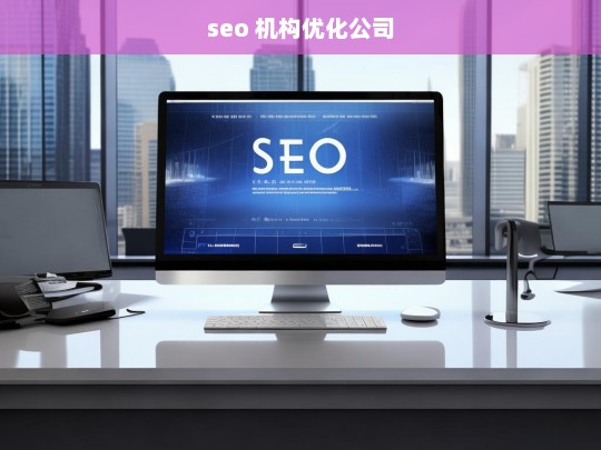 seo 机构优化公司