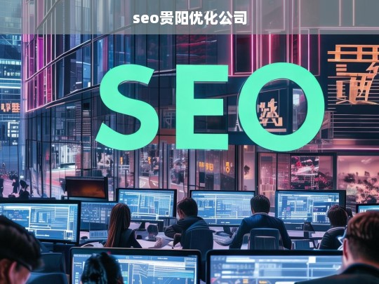 seo贵阳优化公司