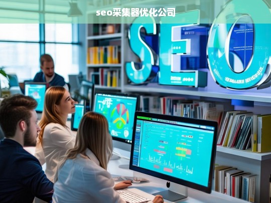 seo采集器优化公司