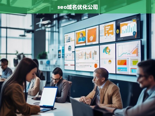 seo域名优化公司