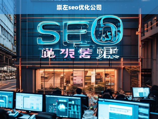 崇左seo优化公司