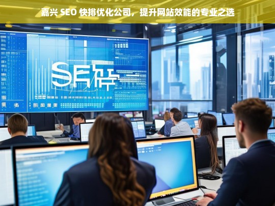 嘉兴 SEO 快排优化公司，提升网站效能的专业之选