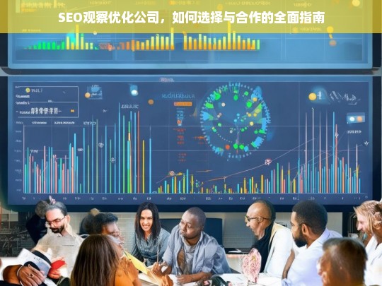 SEO观察优化公司，如何选择与合作的全面指南