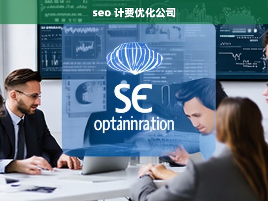 seo 计费优化公司