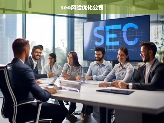 seo风险优化公司