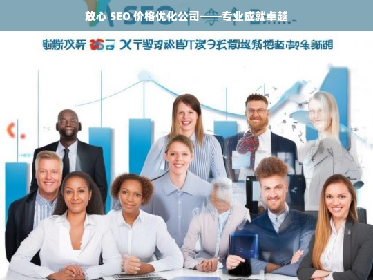 放心 SEO 价格优化公司——专业成就卓越