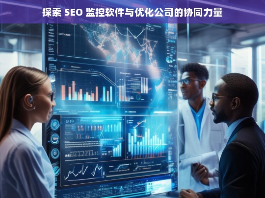 探索 SEO 监控软件与优化公司的协同力量