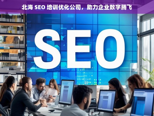 北海 SEO 培训优化公司，助力企业数字腾飞