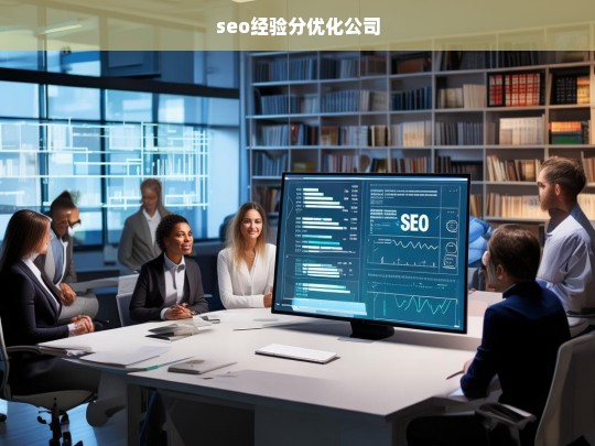 seo经验分优化公司