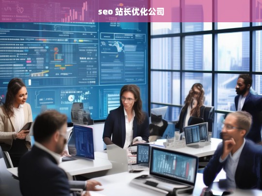 seo 站长优化公司