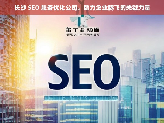 长沙 SEO 服务优化公司，助力企业腾飞的关键力量